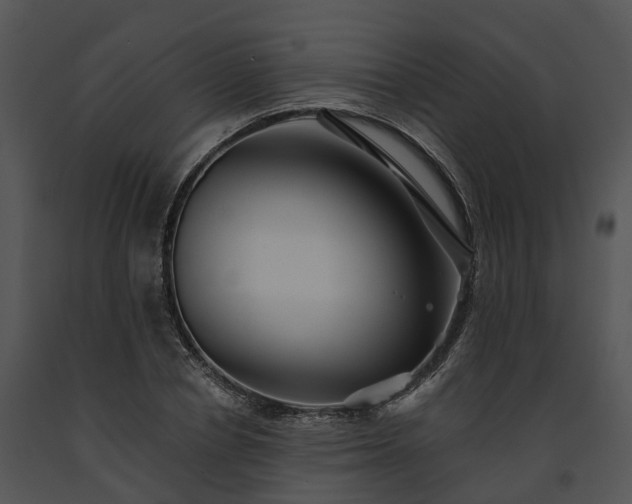 X0000091670834200708301458