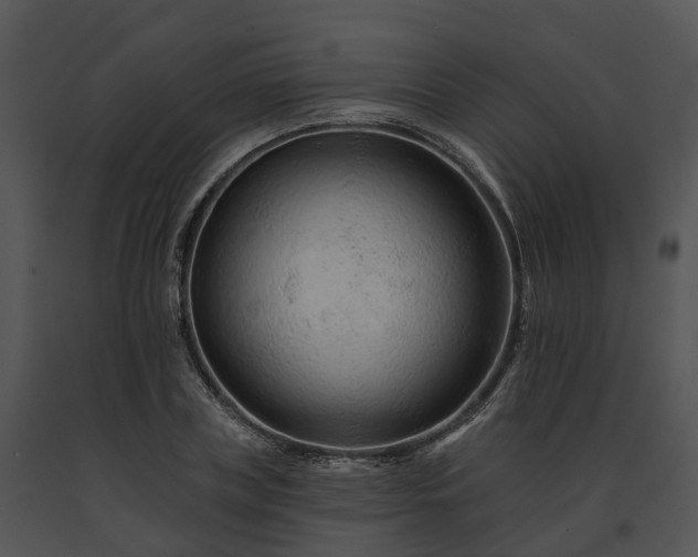 X0000091670835200708301458