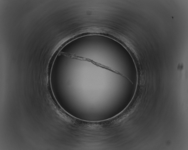 X0000091670837200708301458