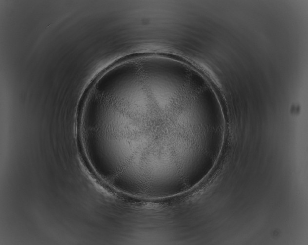 X0000091670839200708301458