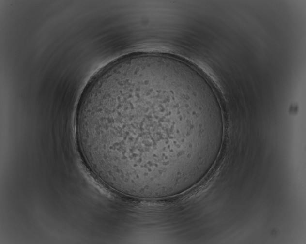 X0000091670840200708301458