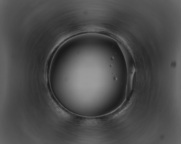 X0000091670843200708301458