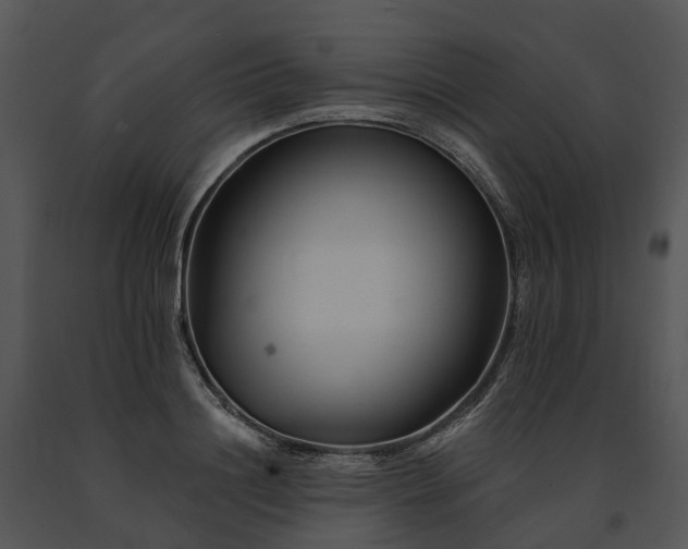 X0000091670844200708301458