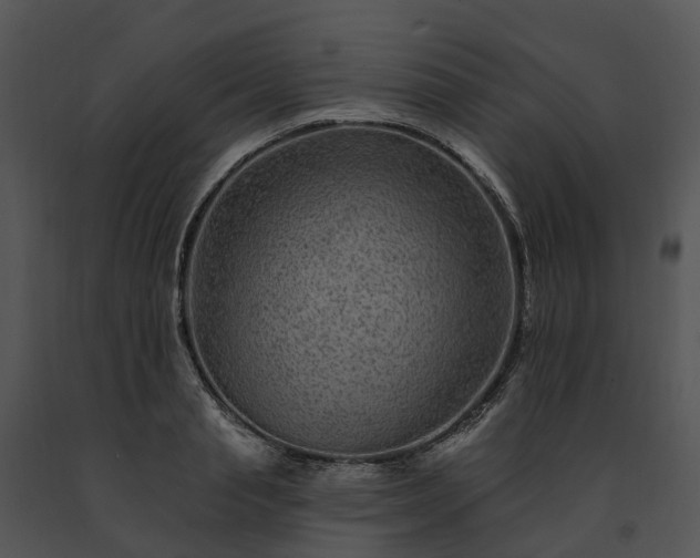 X0000091670845200708301458