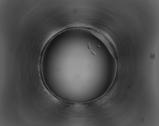 X0000091670847200708301458