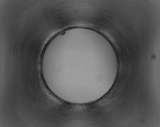 X0000091670848200708301458