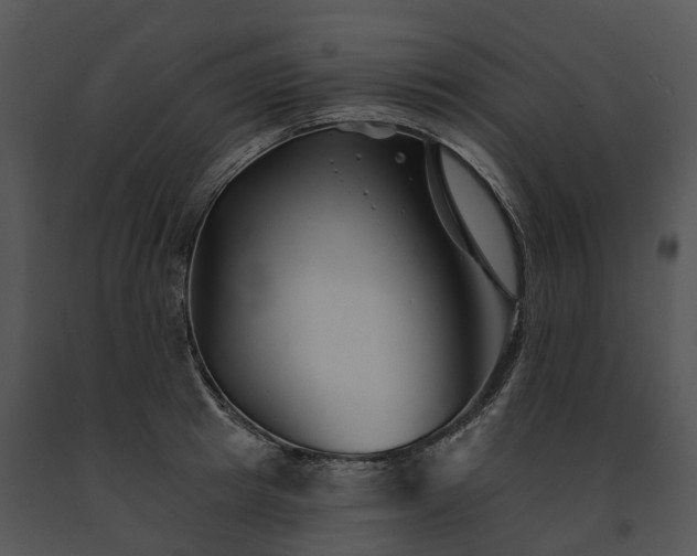 X0000091670849200708301458