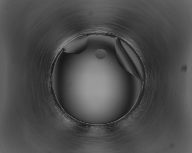 X0000091670850200708301458