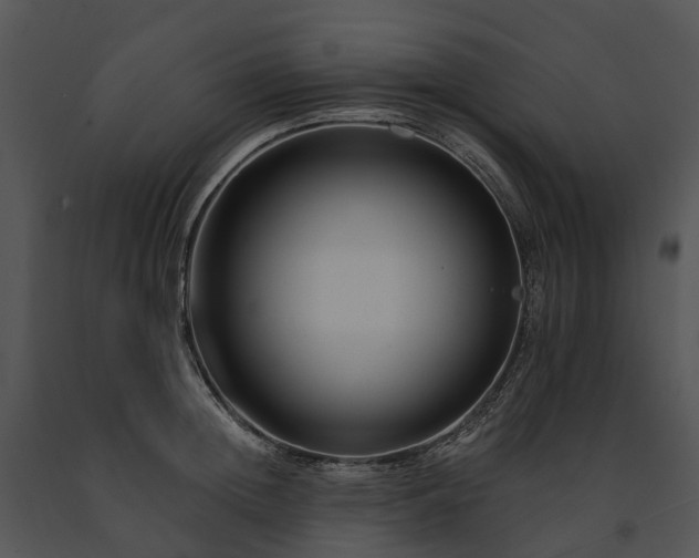 X0000091670852200708301458