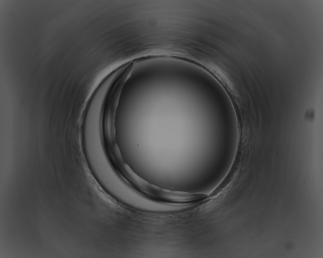 X0000091670854200708301458