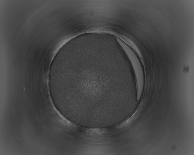 X0000091670855200708301458