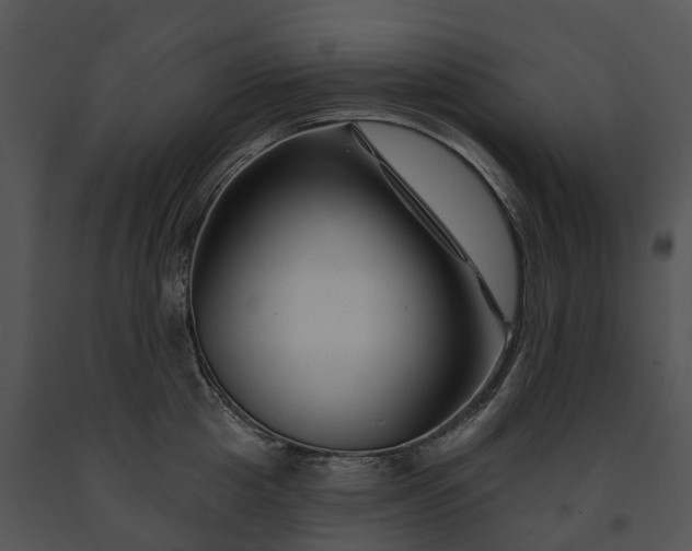 X0000091670857200708301458