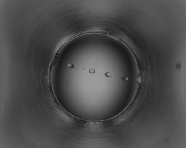 X0000091670858200708301458