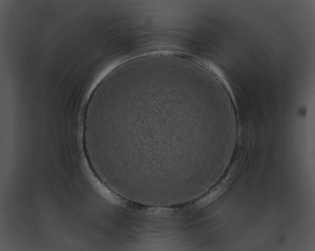 X0000091670859200708301458