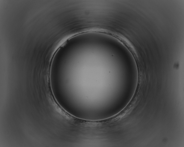 X0000091670860200708301458