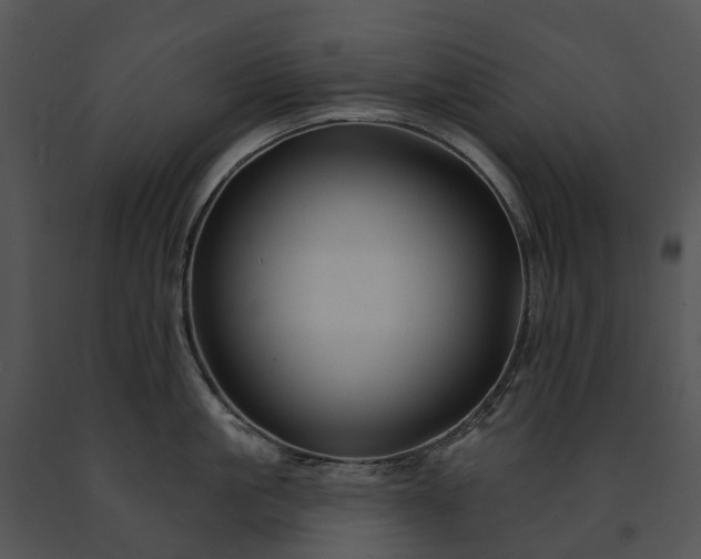X0000091670861200708301458