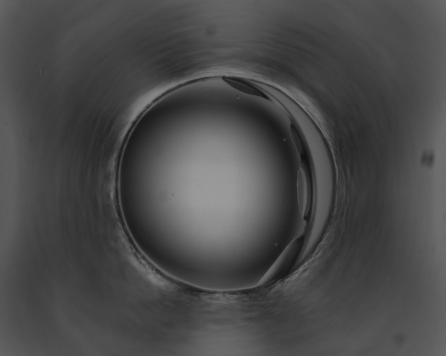 X0000091670862200708301458