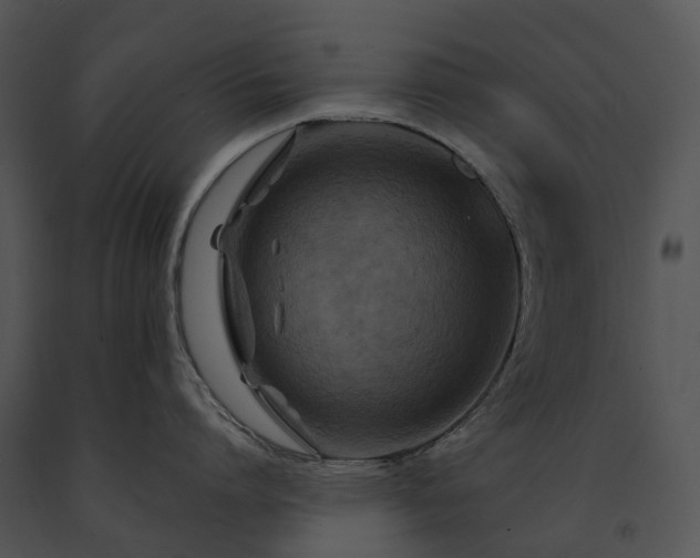 X0000091670864200708301458