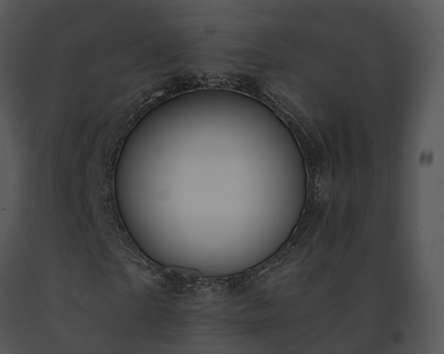 X0000091670865200708301457