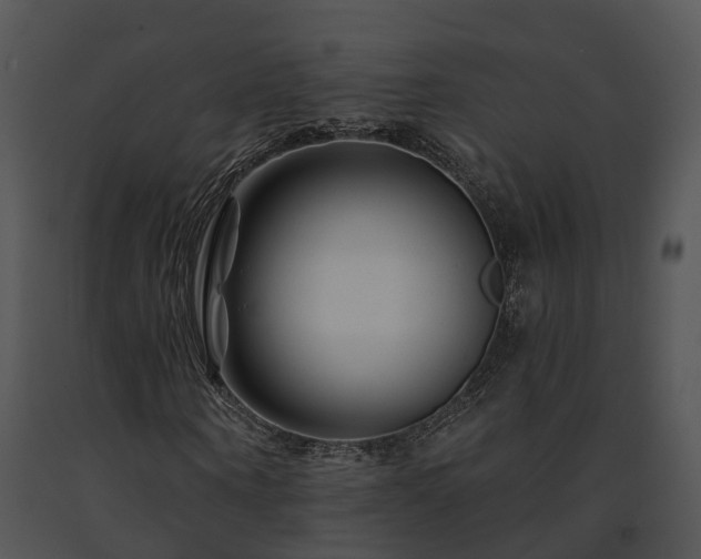 X0000091670866200708301457