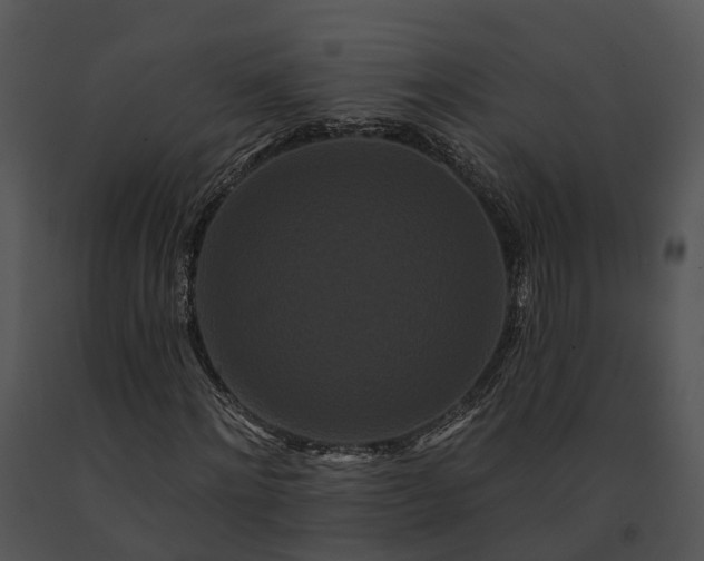 X0000091670868200708301457