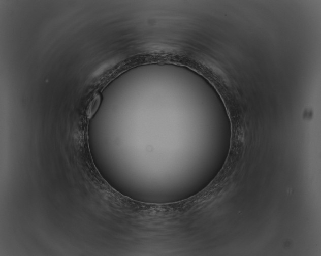 X0000091670869200708301457