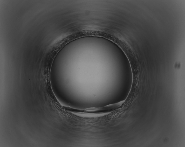 X0000091670870200708301457