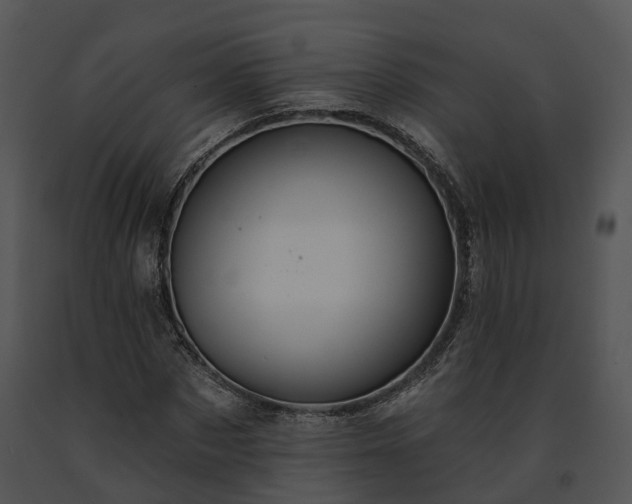 X0000091670873200708301457