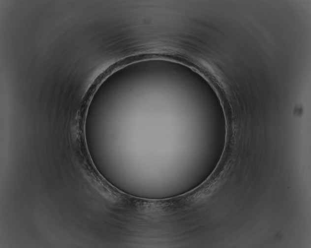 X0000091670875200708301457