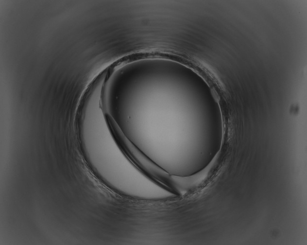 X0000091670876200708301457