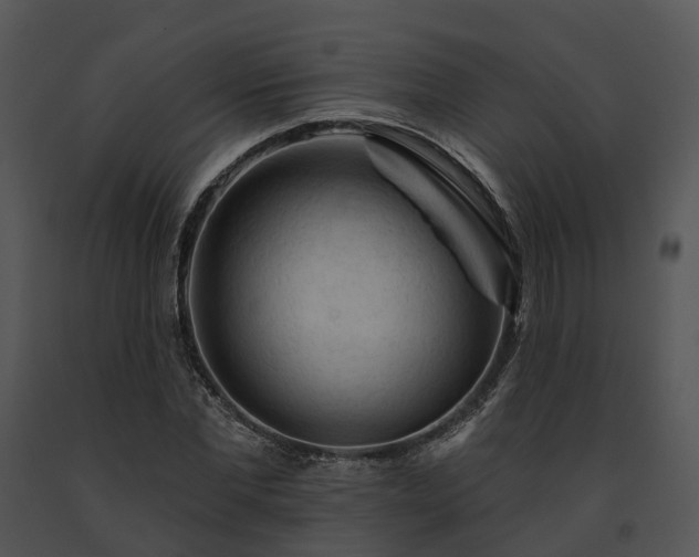 X0000091670877200708301457