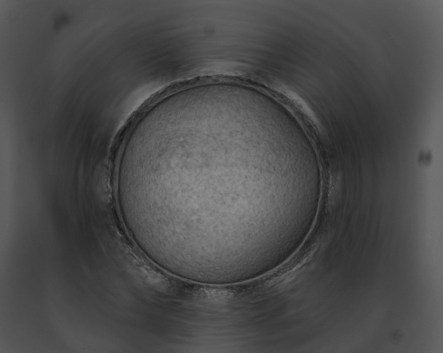 X0000091670878200708301457