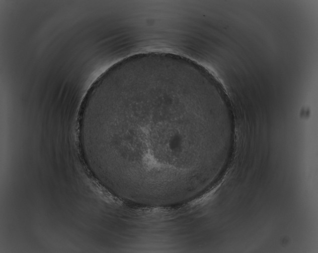 X0000091670879200708301457