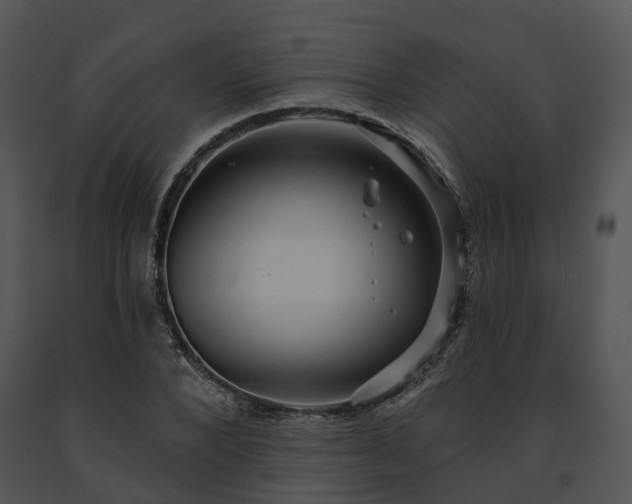 X0000091670880200708301457