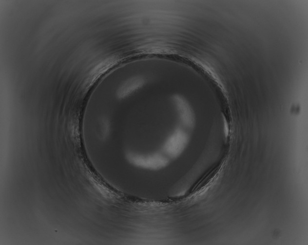 X0000091670881200708301457