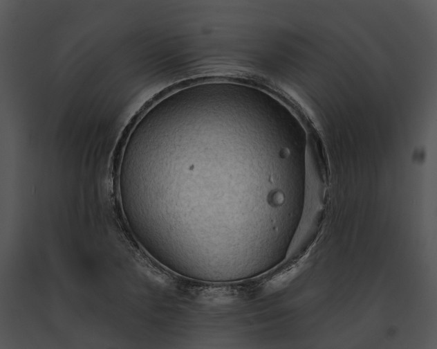 X0000091670883200708301457