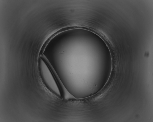 X0000091670884200708301457