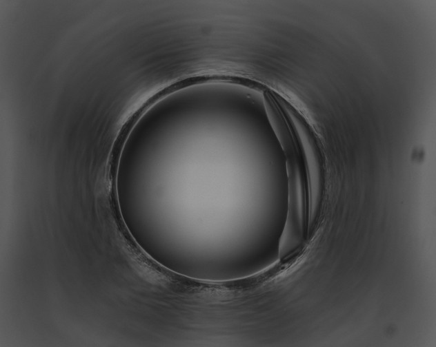 X0000091670885200708301457