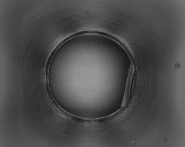 X0000091670887200708301457
