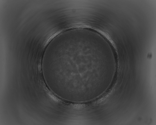 X0000091670889200708301457