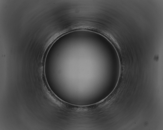 X0000091670890200708301457