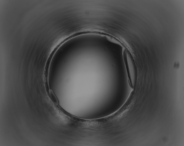 X0000091670893200708301457