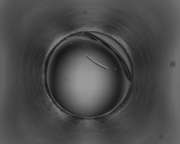 X0000091670894200708301457
