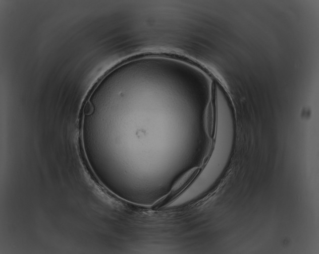 X0000091670895200708301457