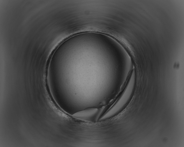 X0000091670896200708301457