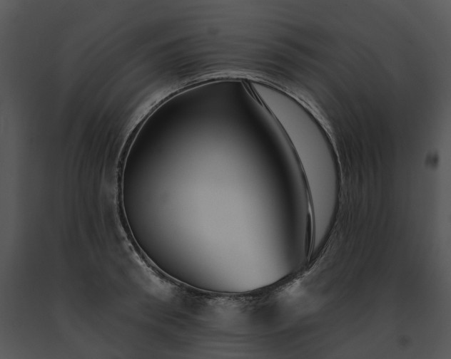 X0000091670898200708301457