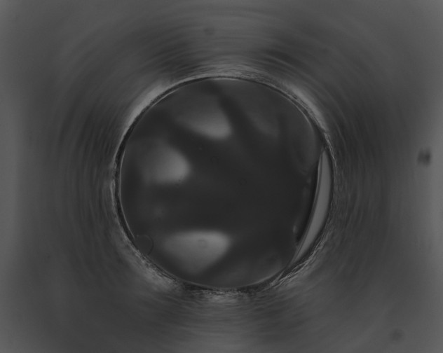 X0000091670899200708301457