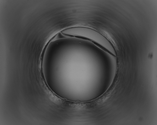 X0000091670900200708301457