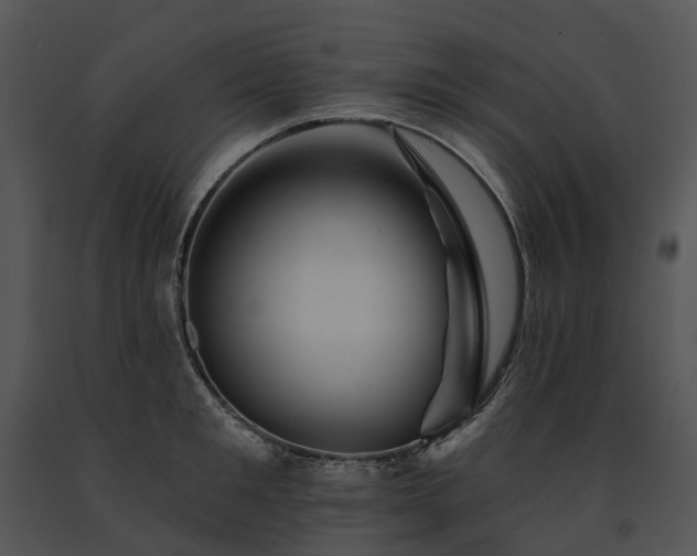 X0000091670901200708301457