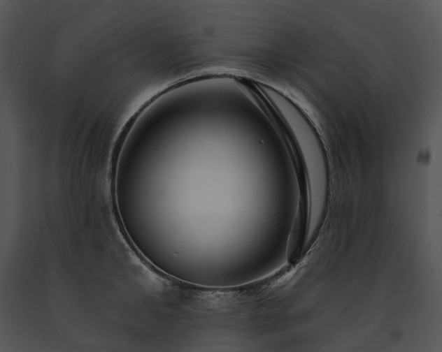 X0000091670902200708301457